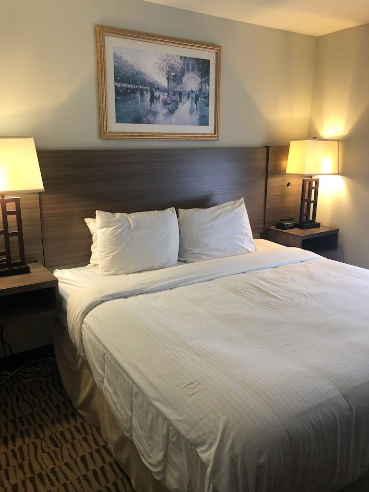 Clarion Pointe Charleston - West Ashley Hotell Eksteriør bilde
